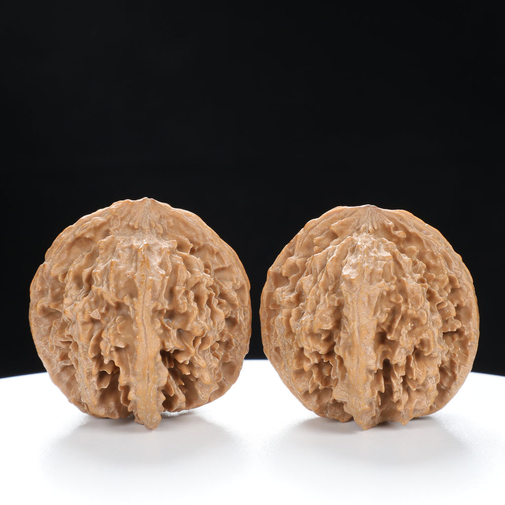 “Wild Qinling Thick-Ridge” Wild Qinling Mountain Thick-Ridge Native Wenwan Walnuts Pair | Size:37L*40W*36H | UPI:UR-00094
