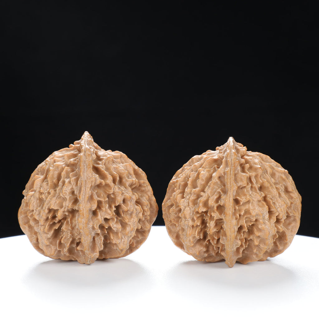 “Wild Qinling Thick-Ridge” Wild Qinling Mountain Thick-Ridge Native Wenwan Walnuts Pair | Size:37L*40W*36H | UPI:UR-00094