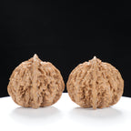 “Wild Qinling Thick-Ridge” Wild Qinling Mountain Thick-Ridge Native Wenwan Walnuts Pair | Size:37L*40W*36H | UPI:UR-00094