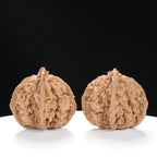 “Wild Qinling Thick-Ridge” Wild Qinling Mountain Thick-Ridge Native Wenwan Walnuts Pair | Size:37L*40W*36H | UPI:UR-00094