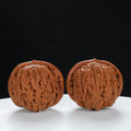 "Si Zuo Lou" Classic entry level Wenwan Walnuts Pair | Size:33L*33W*29H | UPI:UR-00070