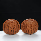 "Si Zuo Lou" Classic entry level Wenwan Walnuts Pair | Size:33L*33W*29H | UPI:UR-00070