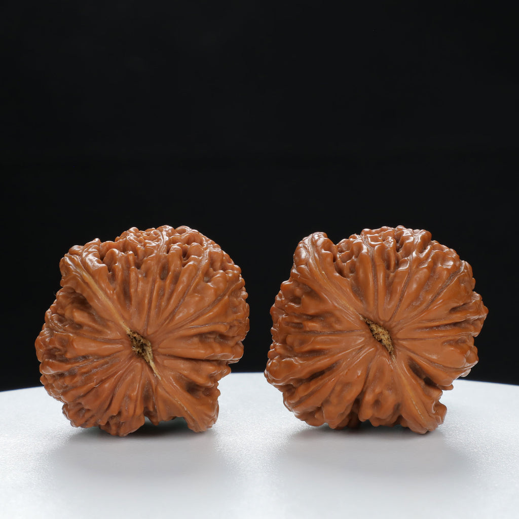 "Si Zuo Lou" Classic entry level Wenwan Walnuts Pair | Size:33L*33W*29H | UPI:UR-00070