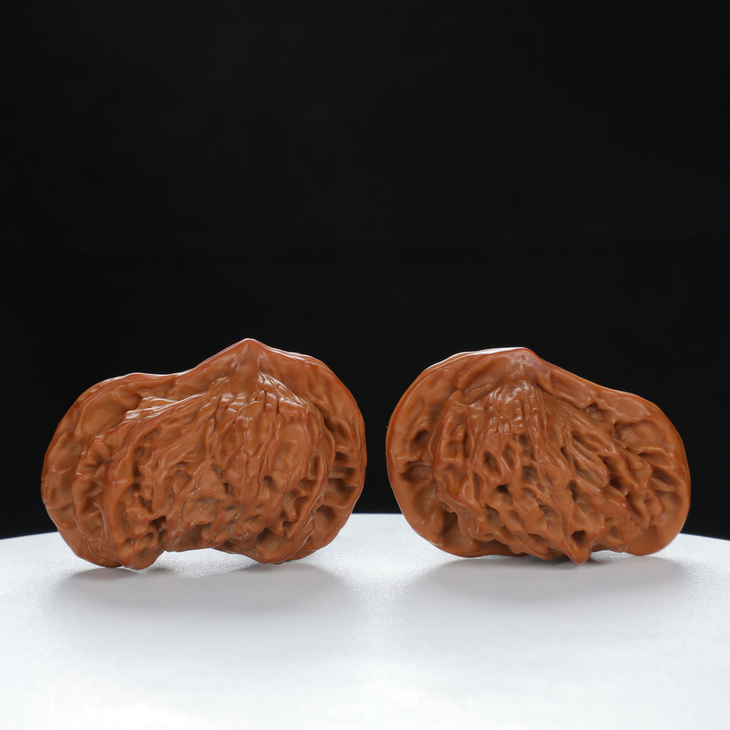"Little Bird" Timeless entry level Wenwan Walnuts Pair | Size:41L*25W*29H | UPI:UR-00071