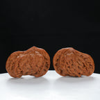 "Little Bird" Timeless entry level Wenwan Walnuts Pair | Size:41L*25W*29H | UPI:UR-00071