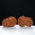 "Little Bird" Timeless entry level Wenwan Walnuts Pair | Size:41L*25W*29H | UPI:UR-00071