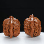 "Little Bird" Timeless entry level Wenwan Walnuts Pair | Size:41L*25W*29H | UPI:UR-00071