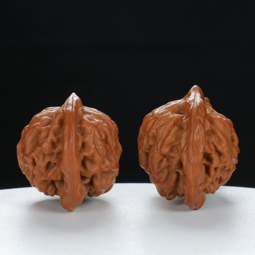 "Little Bird" Timeless entry level Wenwan Walnuts Pair | Size:41L*25W*29H | UPI:UR-00071