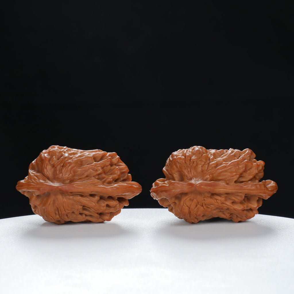 "Little Bird" Timeless entry level Wenwan Walnuts Pair | Size:41L*25W*29H | UPI:UR-00071