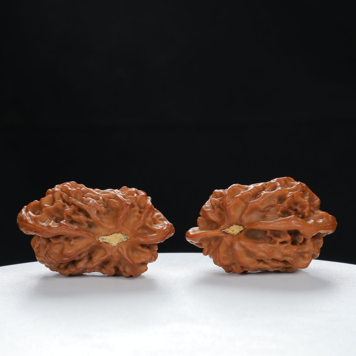 "Little Bird" Timeless entry level Wenwan Walnuts Pair | Size:41L*25W*29H | UPI:UR-00071