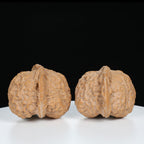"Si Zuo Lou" Essential entry level Wenwan Walnuts Pair | Size:41L*43W*36H | UPI:UR-00072