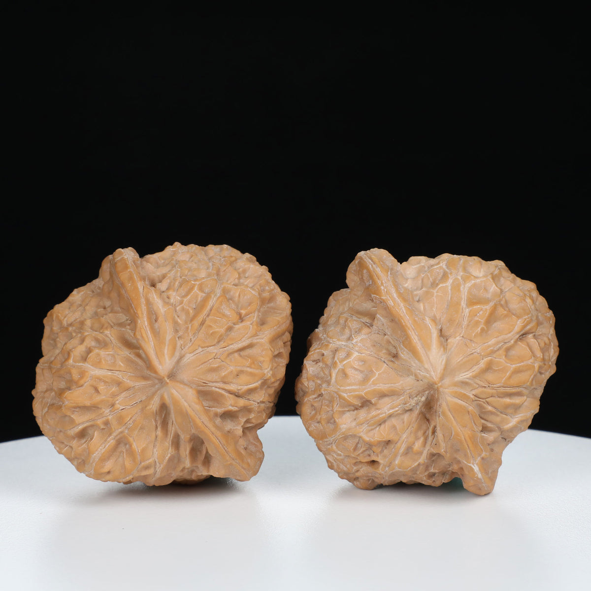 "Si Zuo Lou" Essential entry level Wenwan Walnuts Pair | Size:41L*43W*36H | UPI:UR-00072