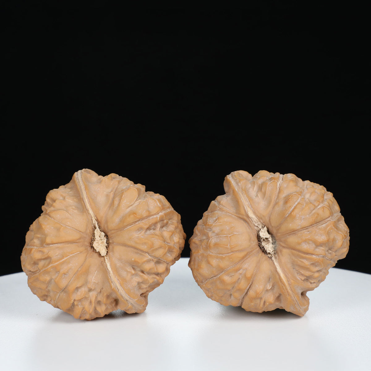 "Si Zuo Lou" Essential entry level Wenwan Walnuts Pair | Size:41L*43W*36H | UPI:UR-00072