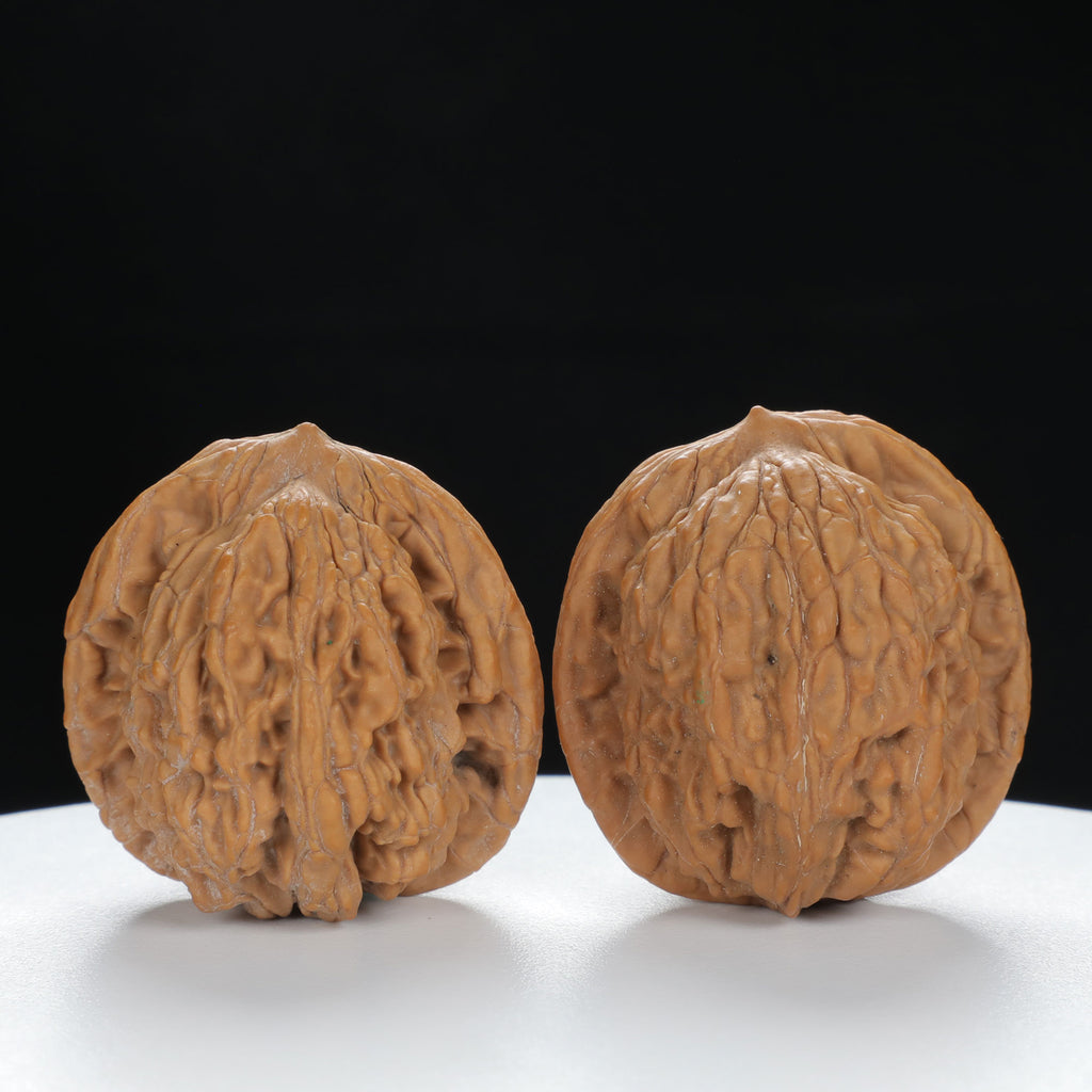 "Wheat Ear Tiger" Traditional entry level Wenwan Walnuts Pair | Size:37L*35W*37H | UPI:UR-00073