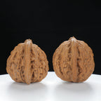 "Wheat Ear Tiger" Traditional entry level Wenwan Walnuts Pair | Size:37L*35W*37H | UPI:UR-00073