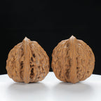 "Wheat Ear Tiger" Traditional entry level Wenwan Walnuts Pair | Size:37L*35W*37H | UPI:UR-00073