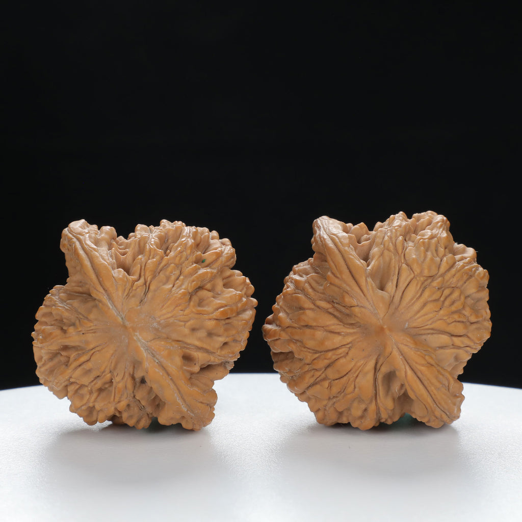 "Wheat Ear Tiger" Traditional entry level Wenwan Walnuts Pair | Size:37L*35W*37H | UPI:UR-00073