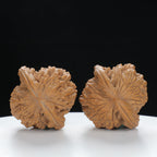 "Wheat Ear Tiger" Traditional entry level Wenwan Walnuts Pair | Size:37L*35W*37H | UPI:UR-00073