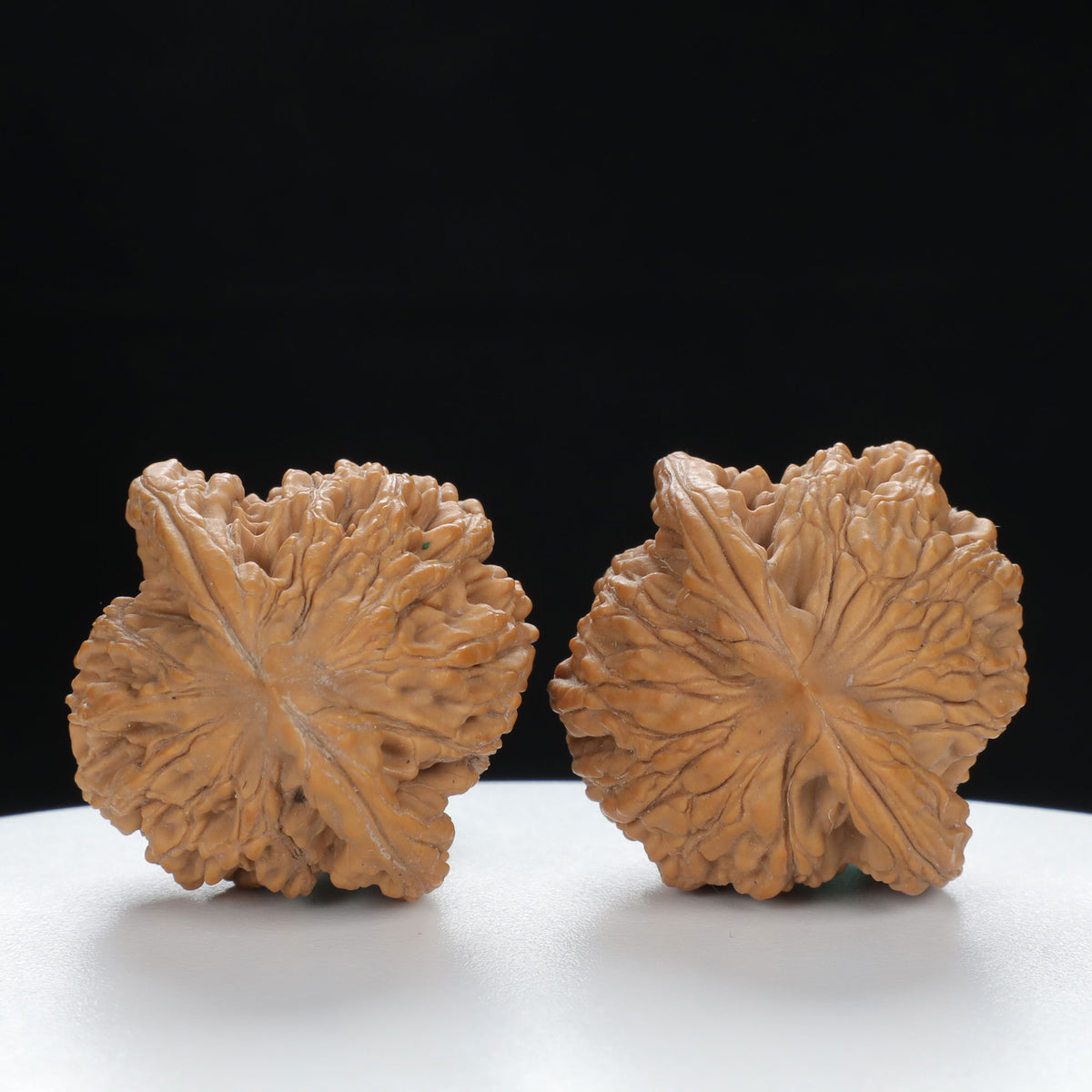 "Wheat Ear Tiger" Traditional entry level Wenwan Walnuts Pair | Size:37L*35W*37H | UPI:UR-00073