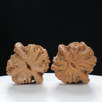 "Wheat Ear Tiger" Traditional entry level Wenwan Walnuts Pair | Size:37L*35W*37H | UPI:UR-00073