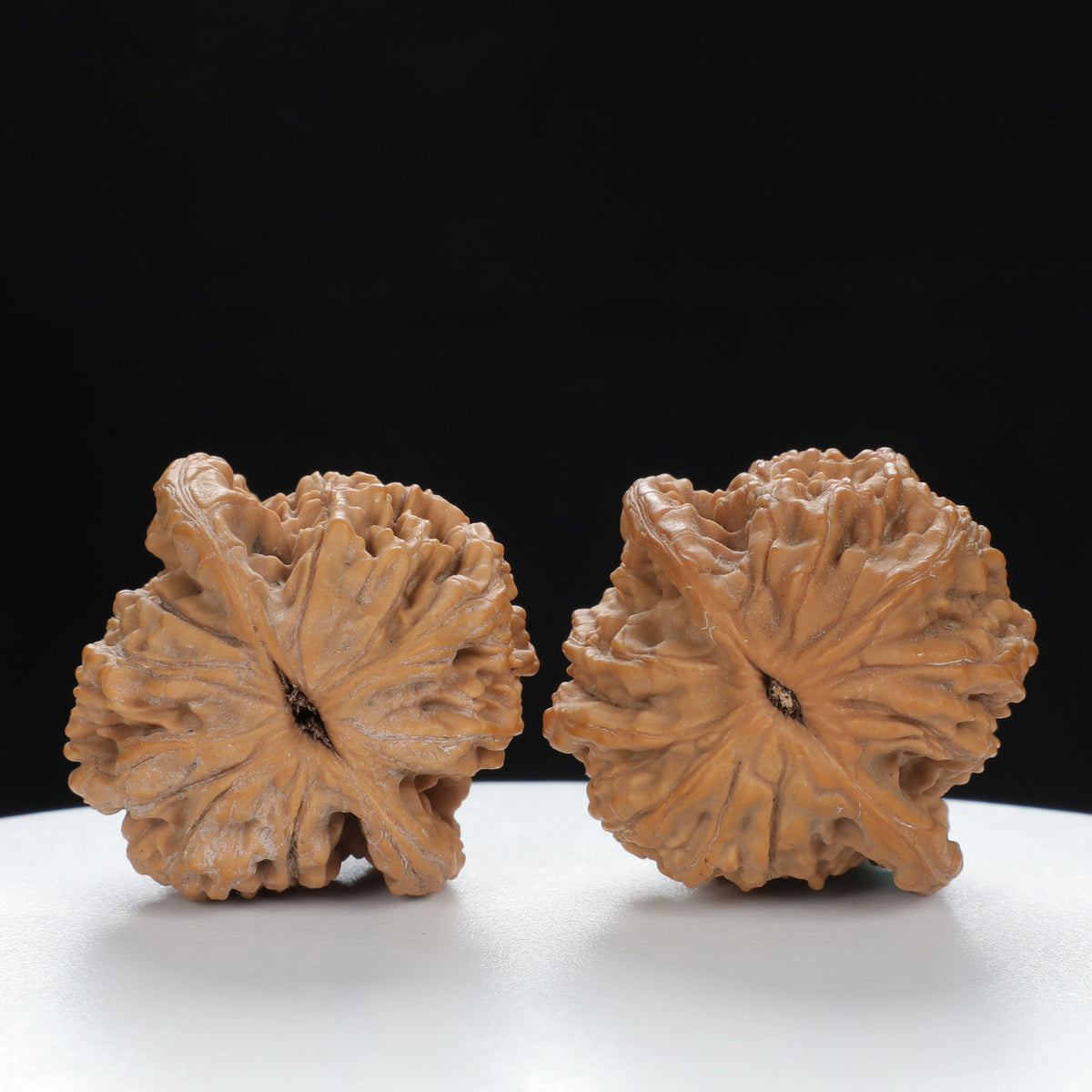 "Wheat Ear Tiger" Traditional entry level Wenwan Walnuts Pair | Size:37L*35W*37H | UPI:UR-00073