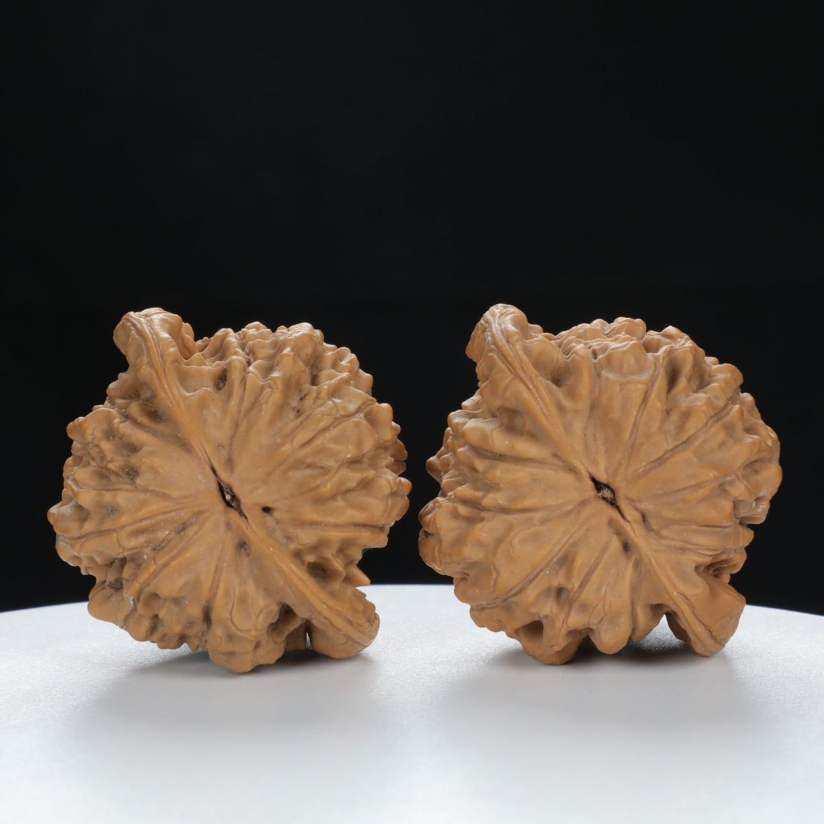 “Large Mandarin Hat” Large Broad-Rimmed Guanmao Official's Cap Wenwan Walnuts Pair | Size:47L*40W*43H | UPI:UR-00074