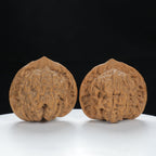 “Large Mandarin Hat” Large Broad-Rimmed Guanmao Official's Cap Wenwan Walnuts Pair | Size:47L*40W*43H | UPI:UR-00074