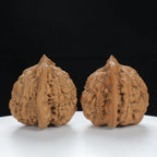 “Large Mandarin Hat” Large Broad-Rimmed Guanmao Official's Cap Wenwan Walnuts Pair | Size:47L*40W*43H | UPI:UR-00074