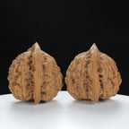 “Large Mandarin Hat” Large Broad-Rimmed Guanmao Official's Cap Wenwan Walnuts Pair | Size:47L*40W*43H | UPI:UR-00074