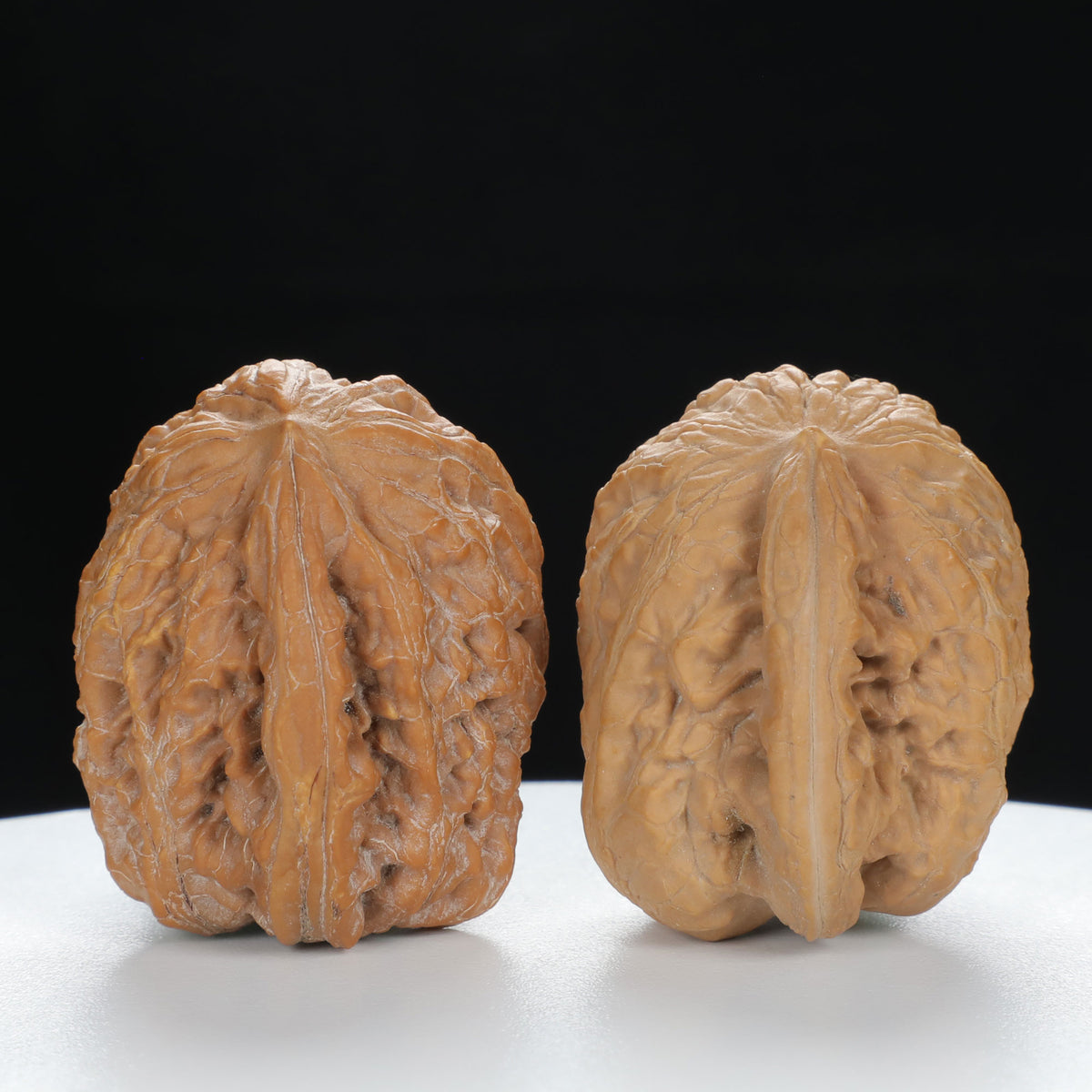 "Single Ridge" Heritage entry level Wenwan Walnuts Pair | Size:35L*33W*34H | UPI:UR-00075
