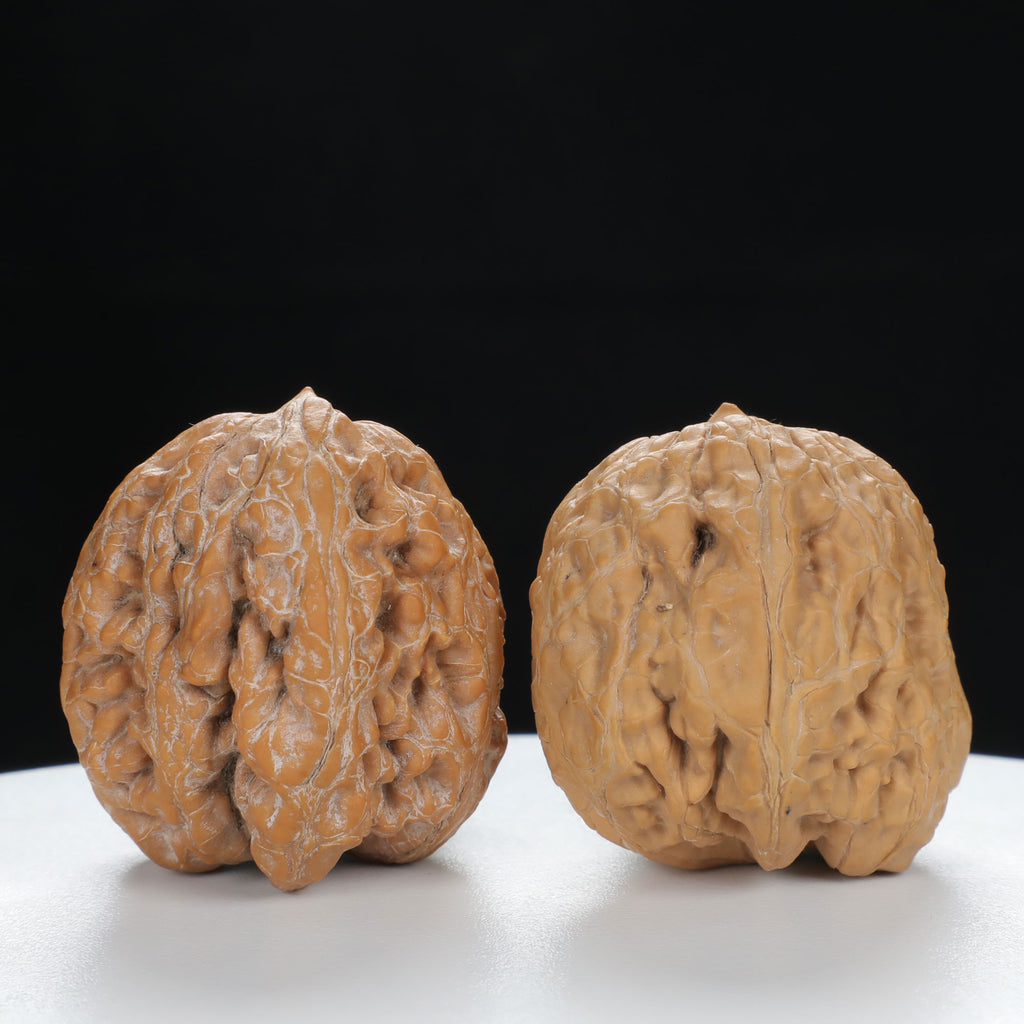 "Single Ridge" Heritage entry level Wenwan Walnuts Pair | Size:35L*33W*34H | UPI:UR-00075