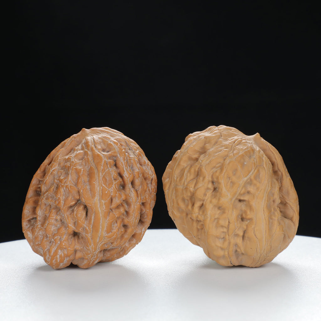 "Single Ridge" Heritage entry level Wenwan Walnuts Pair | Size:35L*33W*34H | UPI:UR-00075