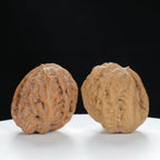 "Single Ridge" Heritage entry level Wenwan Walnuts Pair | Size:35L*33W*34H | UPI:UR-00075