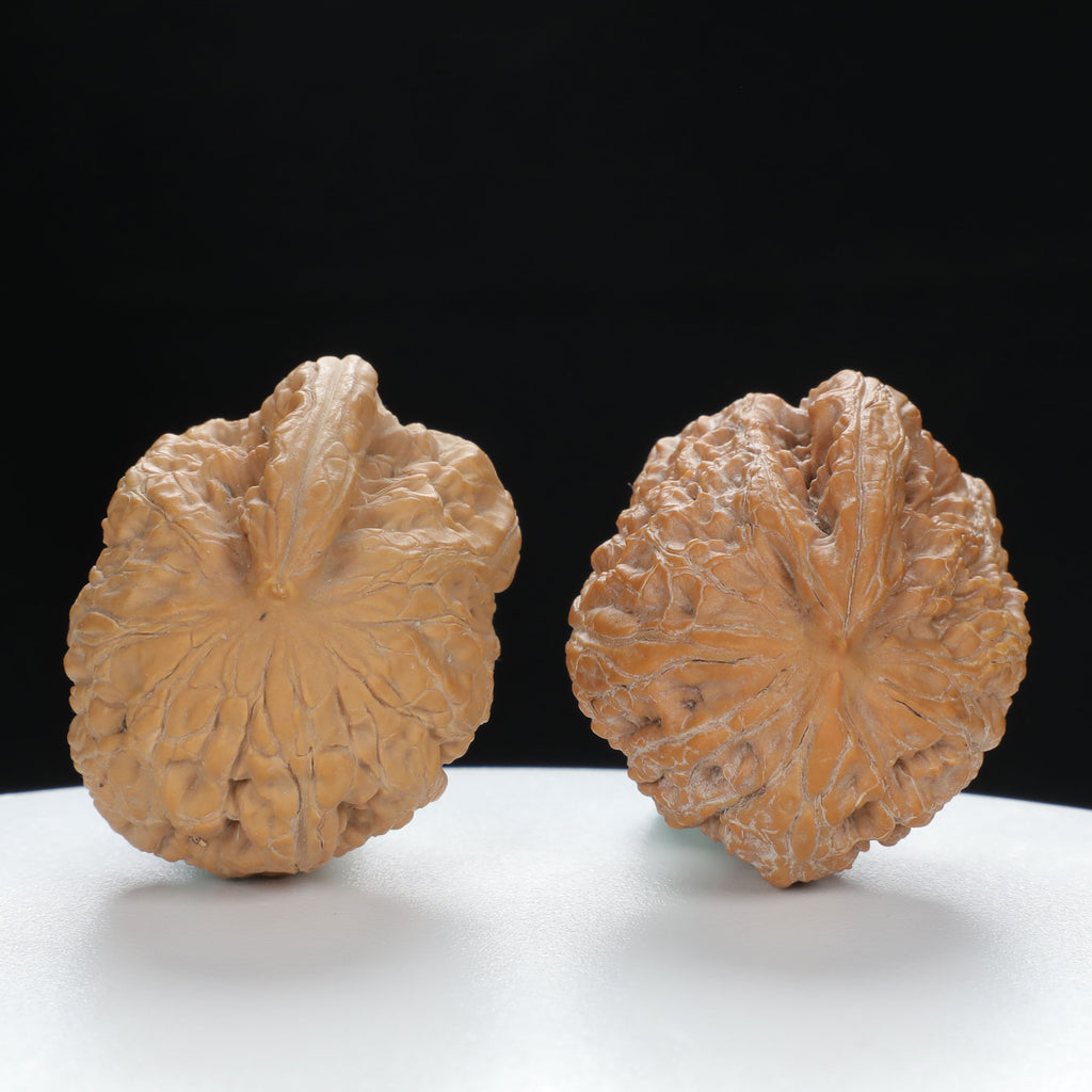 "Single Ridge" Heritage entry level Wenwan Walnuts Pair | Size:35L*33W*34H | UPI:UR-00075