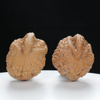 "Single Ridge" Heritage entry level Wenwan Walnuts Pair | Size:35L*33W*34H | UPI:UR-00075