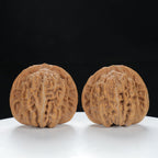 "Si Zuo Lou" Distinctive entry level Wenwan Walnuts Pair | Size:45L*41W*39H | UPI:UR-00077