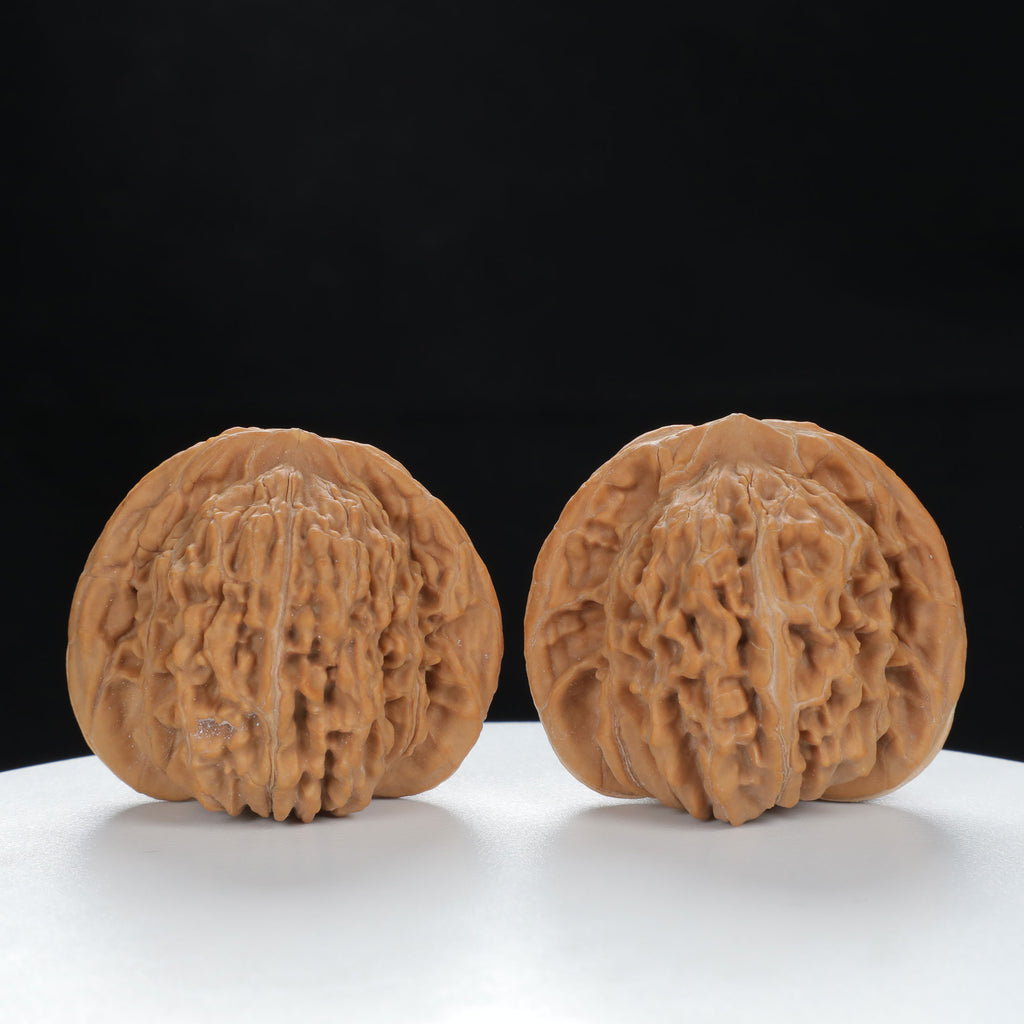 "Si Zuo Lou" Distinctive entry level Wenwan Walnuts Pair | Size:45L*41W*39H | UPI:UR-00077