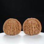 "Si Zuo Lou" Distinctive entry level Wenwan Walnuts Pair | Size:45L*41W*39H | UPI:UR-00077