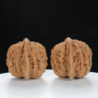 "Si Zuo Lou" Distinctive entry level Wenwan Walnuts Pair | Size:45L*41W*39H | UPI:UR-00077