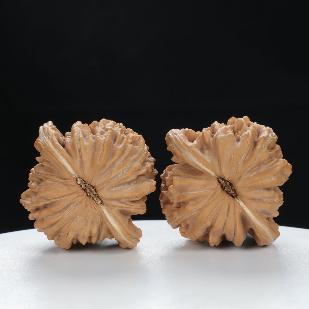 "Si Zuo Lou" Distinctive entry level Wenwan Walnuts Pair | Size:45L*41W*39H | UPI:UR-00077