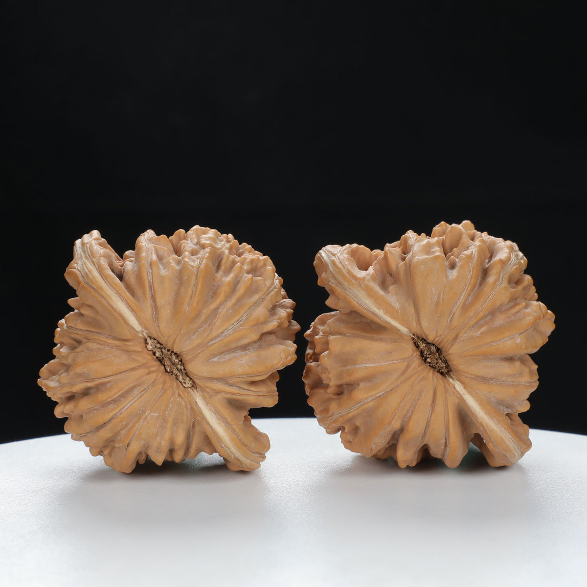 "Si Zuo Lou" Distinctive entry level Wenwan Walnuts Pair | Size:45L*41W*39H | UPI:UR-00077
