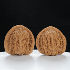 "Si Zuo Lou" Authentic entry level Wenwan Walnuts Pair | Size:45L*40W*43H | UPI:UR-00079