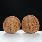 "Si Zuo Lou" Authentic entry level Wenwan Walnuts Pair | Size:45L*40W*43H | UPI:UR-00079
