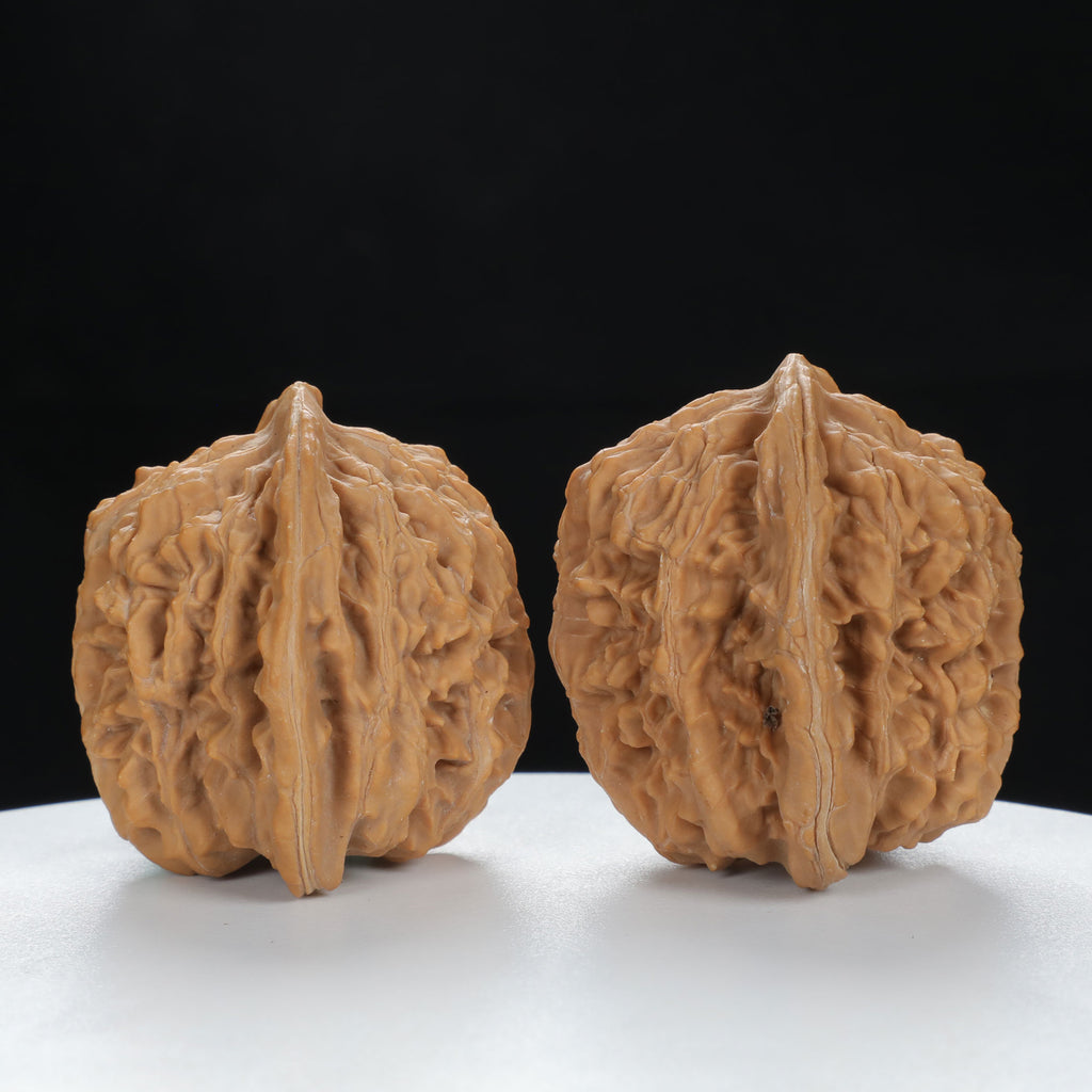 "Si Zuo Lou" Authentic entry level Wenwan Walnuts Pair | Size:45L*40W*43H | UPI:UR-00079