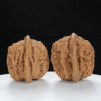 "Si Zuo Lou" Authentic entry level Wenwan Walnuts Pair | Size:45L*40W*43H | UPI:UR-00079