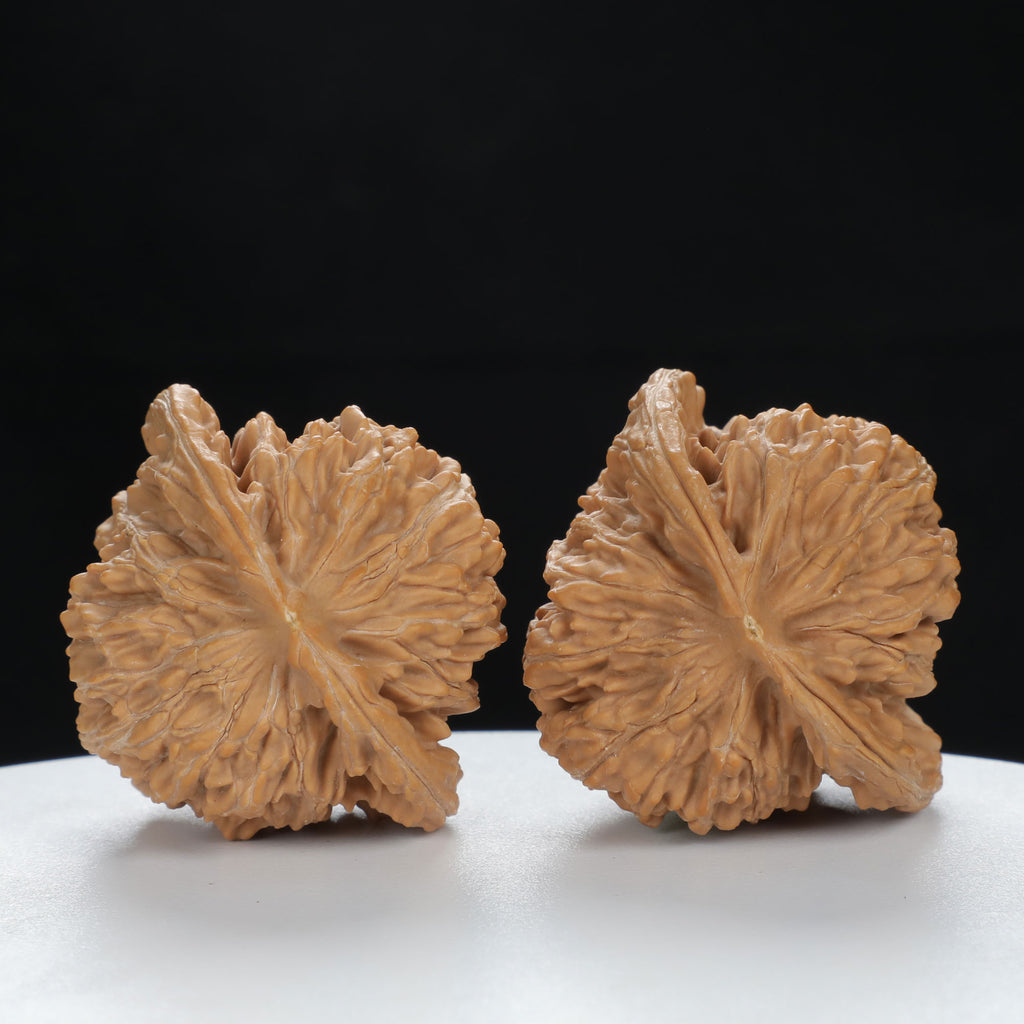 "Si Zuo Lou" Authentic entry level Wenwan Walnuts Pair | Size:45L*40W*43H | UPI:UR-00079