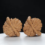"Si Zuo Lou" Authentic entry level Wenwan Walnuts Pair | Size:45L*40W*43H | UPI:UR-00079