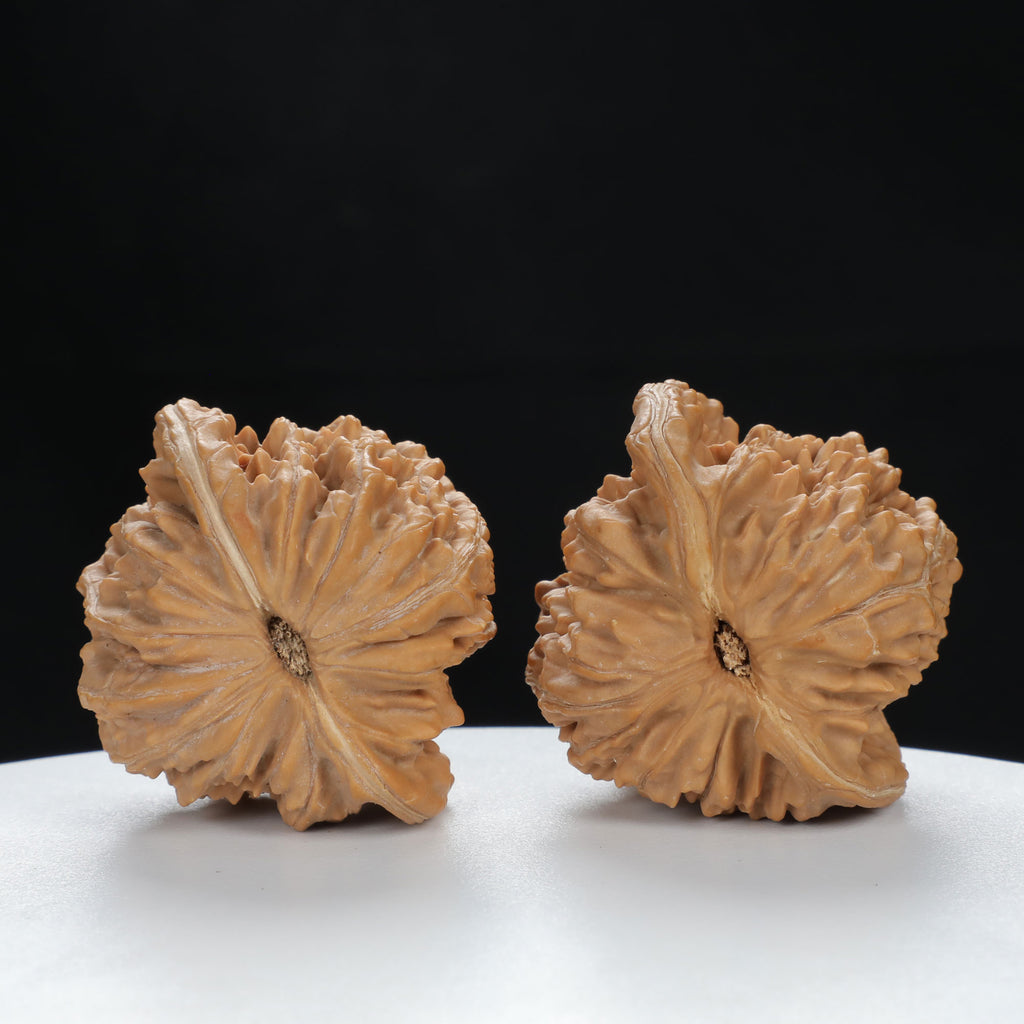 "Si Zuo Lou" Authentic entry level Wenwan Walnuts Pair | Size:45L*40W*43H | UPI:UR-00079