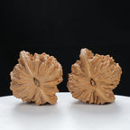 "Si Zuo Lou" Authentic entry level Wenwan Walnuts Pair | Size:45L*40W*43H | UPI:UR-00079