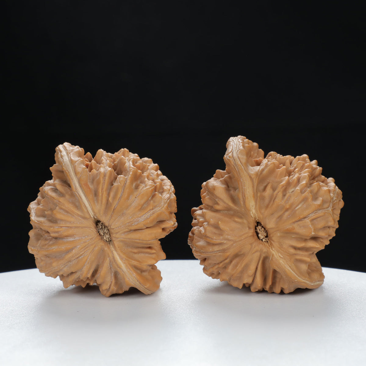 "Si Zuo Lou" Authentic entry level Wenwan Walnuts Pair | Size:45L*40W*43H | UPI:UR-00079